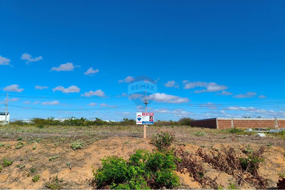 Terreno - Venda - Petrolina , Pernambuco - IMG_20250528_090116.jpg - 850611008-66