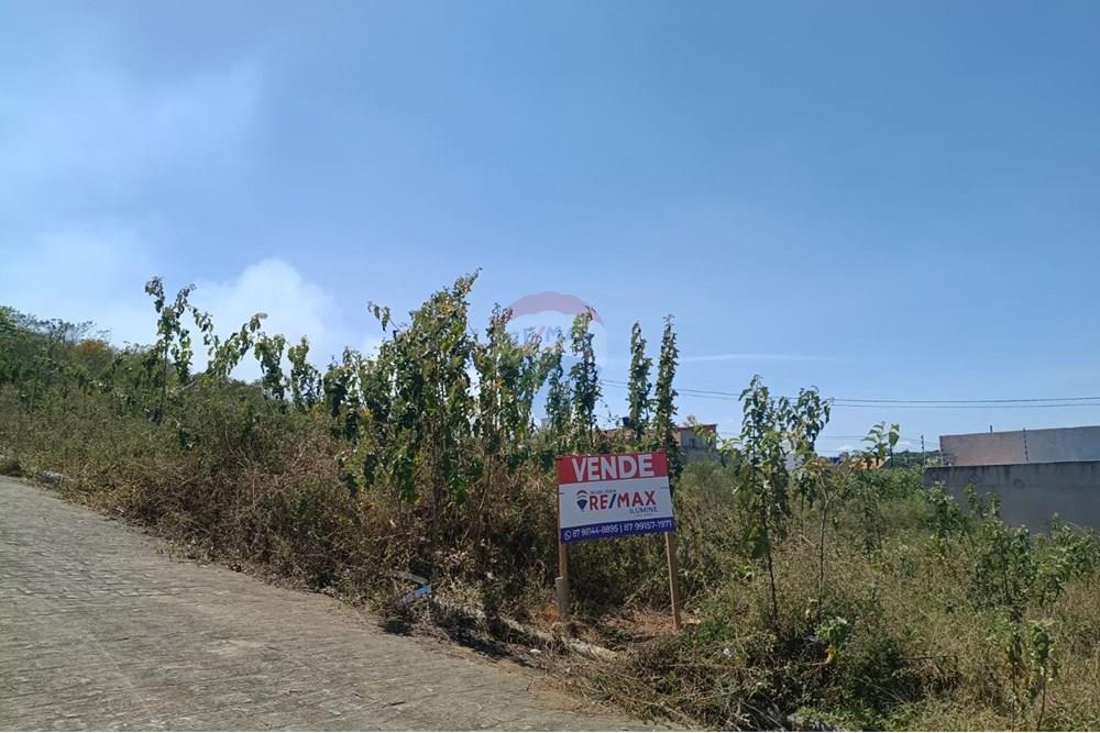 Terreno - Venda - Garanhuns , Pernambuco - WhatsApp Image 2025-11-13 at 20.46.08 (2).jpeg - 850741008-1