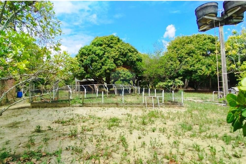 Chácara / Sítio / Fazenda - Alugar - Igarassu , Pernambuco - WhatsApp Image 2025-01-23 at 15.12.40 (3).jpeg - 850071019-200