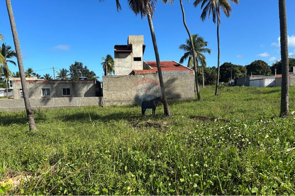 Terreno - Venda - Maragogi , Alagoas - IMG_5906.jpeg - 850291009-64
