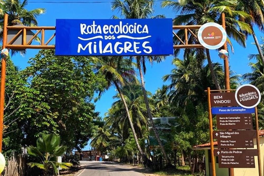 Terreno - Venda - São Miguel dos Milagres , Alagoas - WhatsApp Image 2026-03-09 at 16.07.31.jpeg - 850271213-8