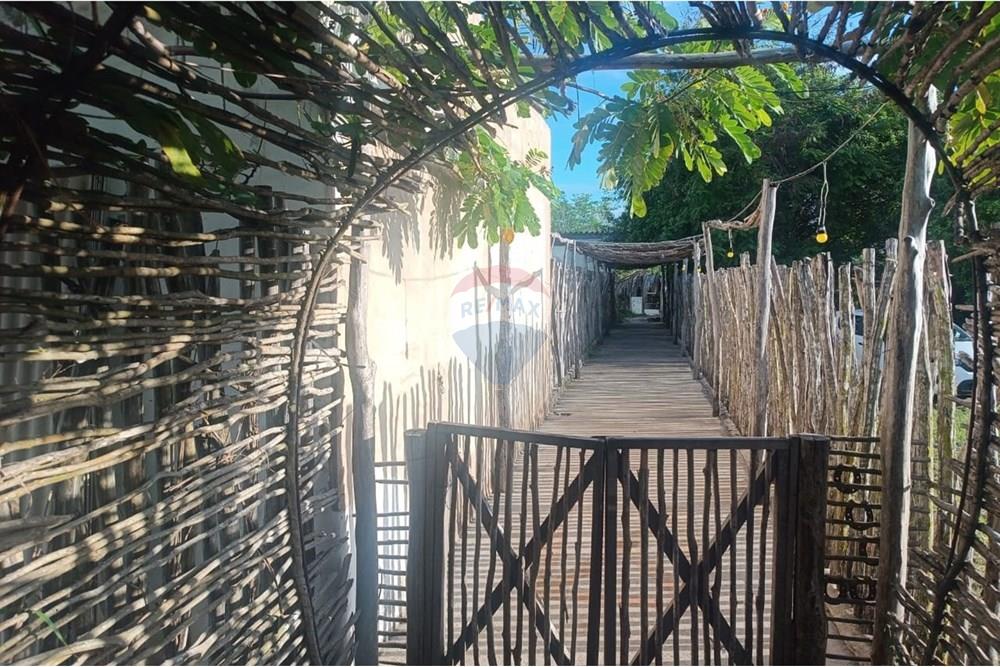 Terreno - Venda - Porto de Pedras , Alagoas - TERRENO CLÁUDIO 2.jpeg - 850141002-133