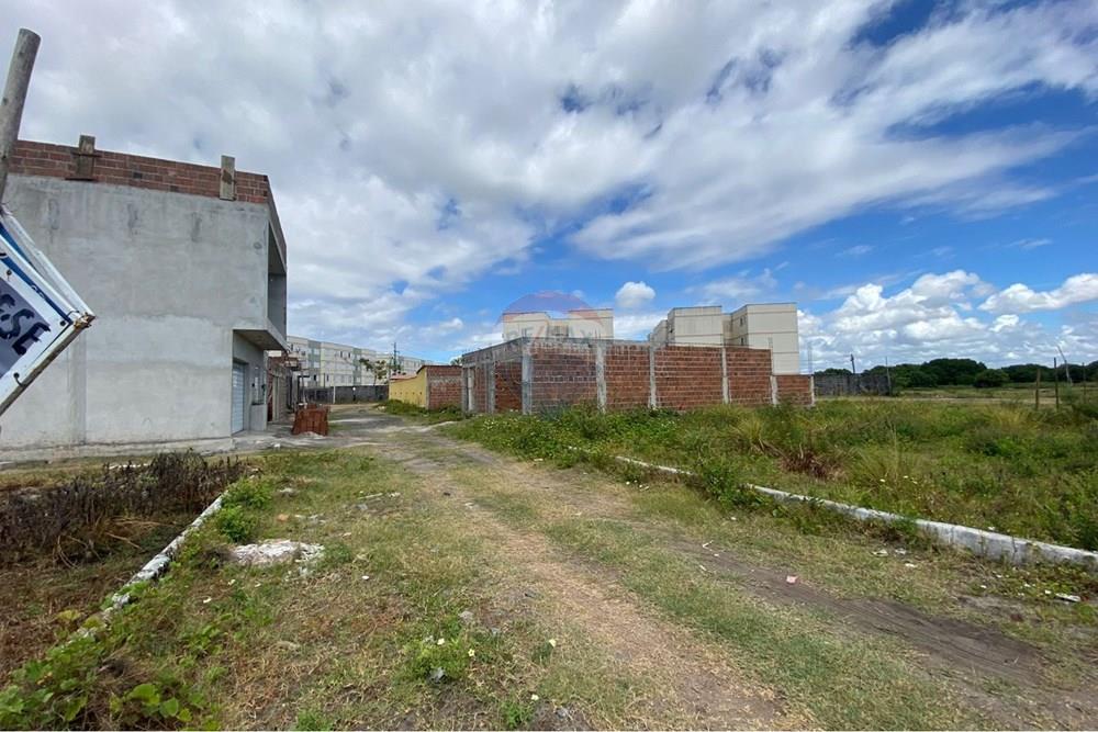 Terreno - Venda - Ipojuca , Pernambuco - WhatsApp Image 2026-02-17 at 12.37.53 (1).jpeg - 850221030-41