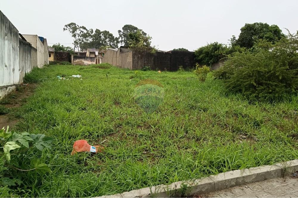 Terreno - Venda - Garanhuns , Pernambuco - WhatsApp Image 2026-03-11 at 11.09.35.jpeg - 850741008-3