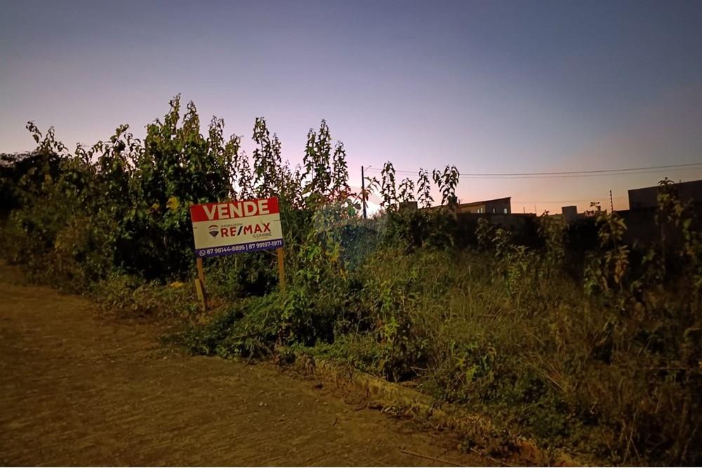 Terreno - Venda - Garanhuns , Pernambuco - WhatsApp Image 2025-11-06 at 19.25.08.jpeg - 850741008-1