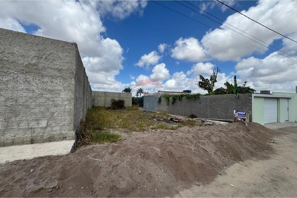 Terreno - Venda - São João , Pernambuco - WhatsApp Image 2026-02-11 at 08.53.13 (8).jpeg - 850131003-535