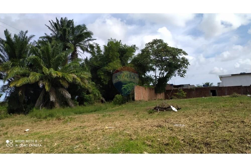 Terreno - Venda - Cabo de Santo Agostinho , Pernambuco - WhatsApp Image 2024-12-18 at 12.03.28 (2).jpeg - 850281036-44