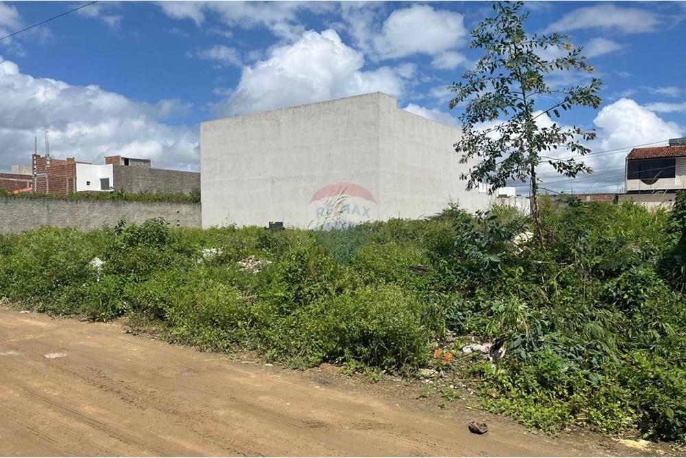 Terreno - Venda - Caruaru , Pernambuco - WhatsApp Image 2025-03-06 at 11.13.51 (2).jpeg - 850161060-23