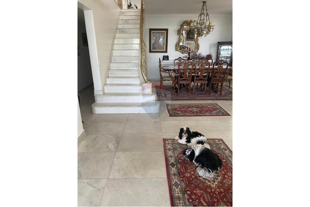 Apartamento - Venda - Recife , Pernambuco - WhatsApp Image 2025-11-06 at 16.21.02.jpeg - 850071019-221