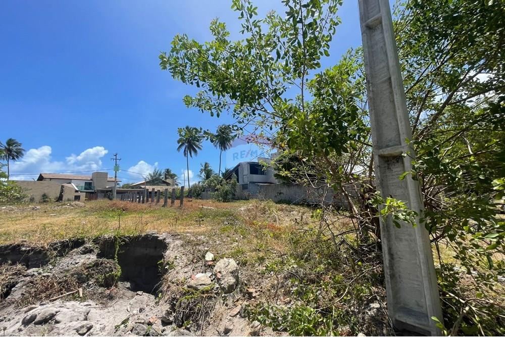 Terreno - Venda - Ipojuca , Pernambuco - WhatsApp Image 2025-12-01 at 14.47.28.jpeg - 850091046-406