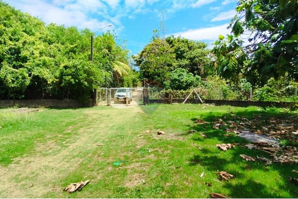 Chácara / Sítio / Fazenda - Alugar - Igarassu , Pernambuco - WhatsApp Image 2025-01-23 at 15.12.02 (2).jpeg - 850071019-200