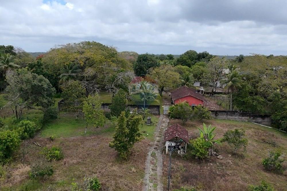 Chácara / Sítio / Fazenda - Venda - Recife , Pernambuco - WhatsApp Image 2025-10-09 at 14.41.50.jpeg - 850071019-216