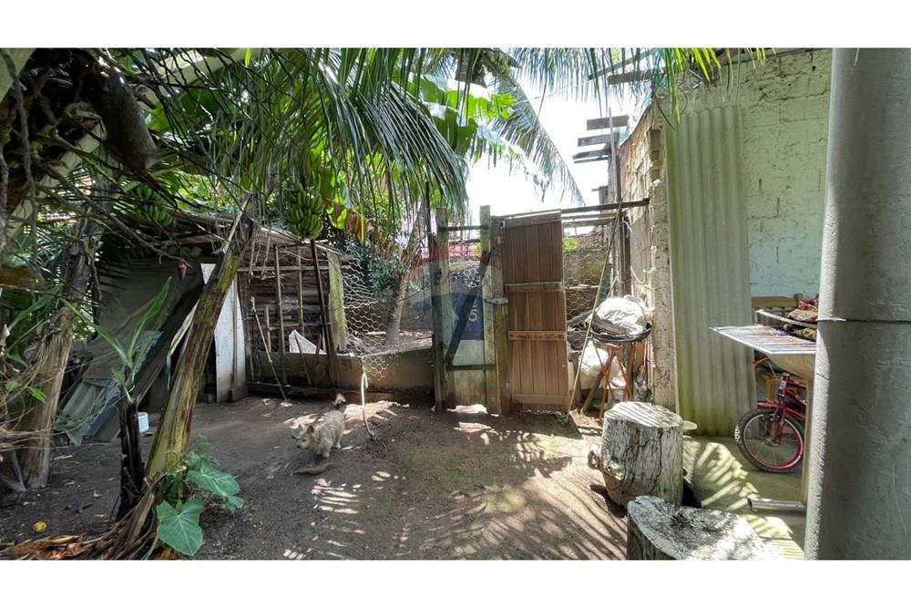 Chácara / Sítio / Fazenda - Venda - Maceió , Alagoas - 108c632b-e76a-49c0-a8c1-def4a1b98b9d.jpeg - 850271147-49