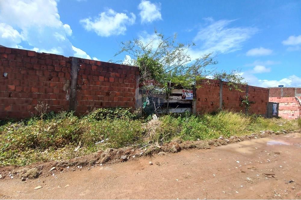 Terreno - Venda - Barra de Santo Antônio , Alagoas - 20251129_091154.jpg - 850271020-207