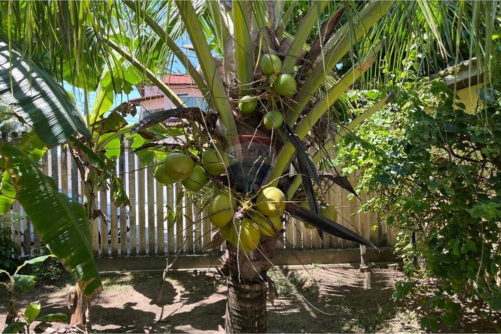 Casa - Venda - Ipojuca , Pernambuco - WhatsApp Image 2026-02-17 at 17.05.14 (1).jpeg - 850221041-21