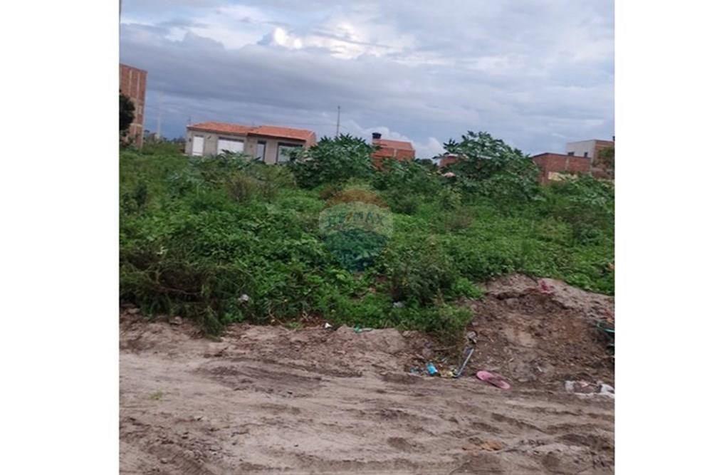 Terreno - Venda - Lajedo , Pernambuco - WhatsApp Image 2026-03-05 at 09.45.12.jpeg - 850131018-87