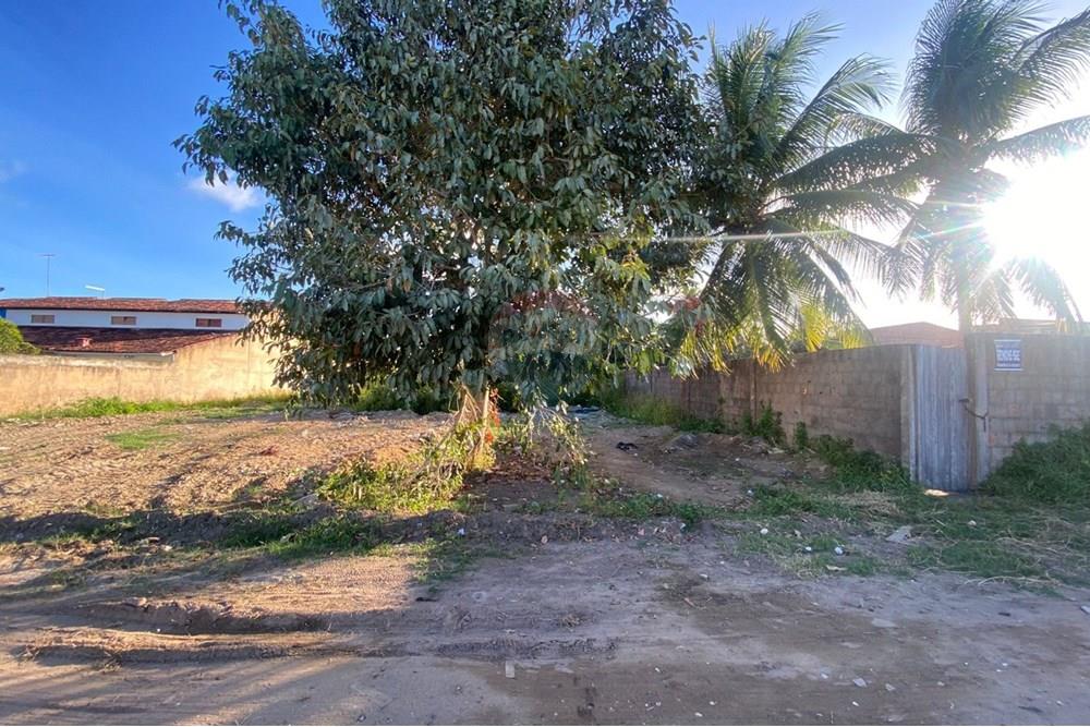 Terreno - Venda - Barra de São Miguel , Alagoas - WhatsApp Image 2025-10-29 at 15.37.35.jpeg - 850751006-5