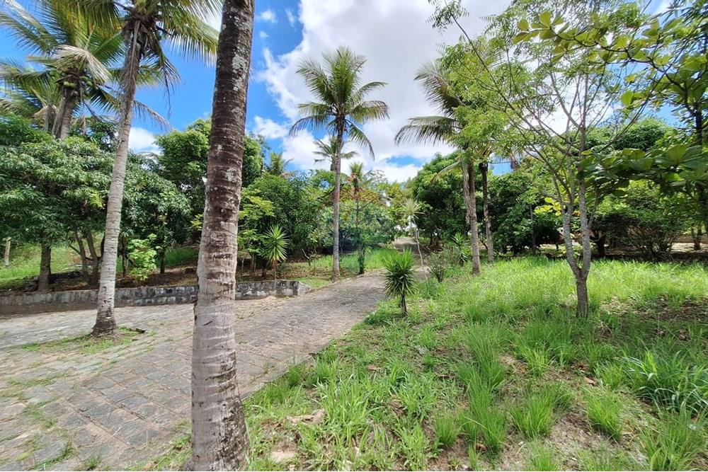 Chácara / Sítio / Fazenda - Alugar - Caruaru , Pernambuco - WhatsApp Image 2024-01-05 at 10.08.09.jpeg - 850161060-37