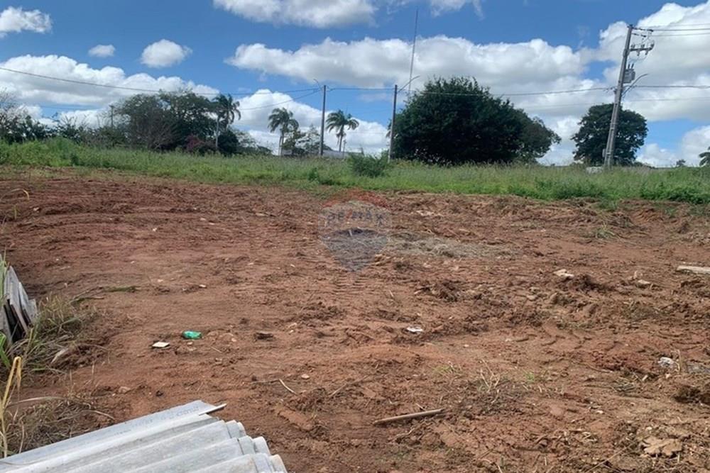 Terreno - Venda - Palmeira dos Índios , Alagoas - 907a758e-5bca-4db4-ba03-1f5a1470ffb9.jpg - 850271243-2