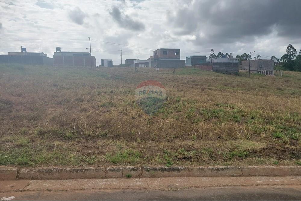 Terreno - Venda - Cabo de Santo Agostinho , Pernambuco - WhatsApp Image 2024-12-23 at 13.07.21.jpeg - 850281036-43