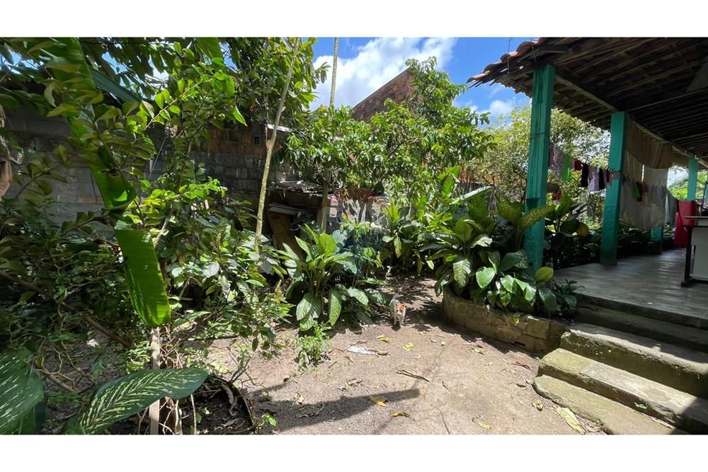 Chácara / Sítio / Fazenda - Venda - Maceió , Alagoas - 8d046b30-0fb7-4f38-b0d0-b9ae904b10a6.jpeg - 850271147-49