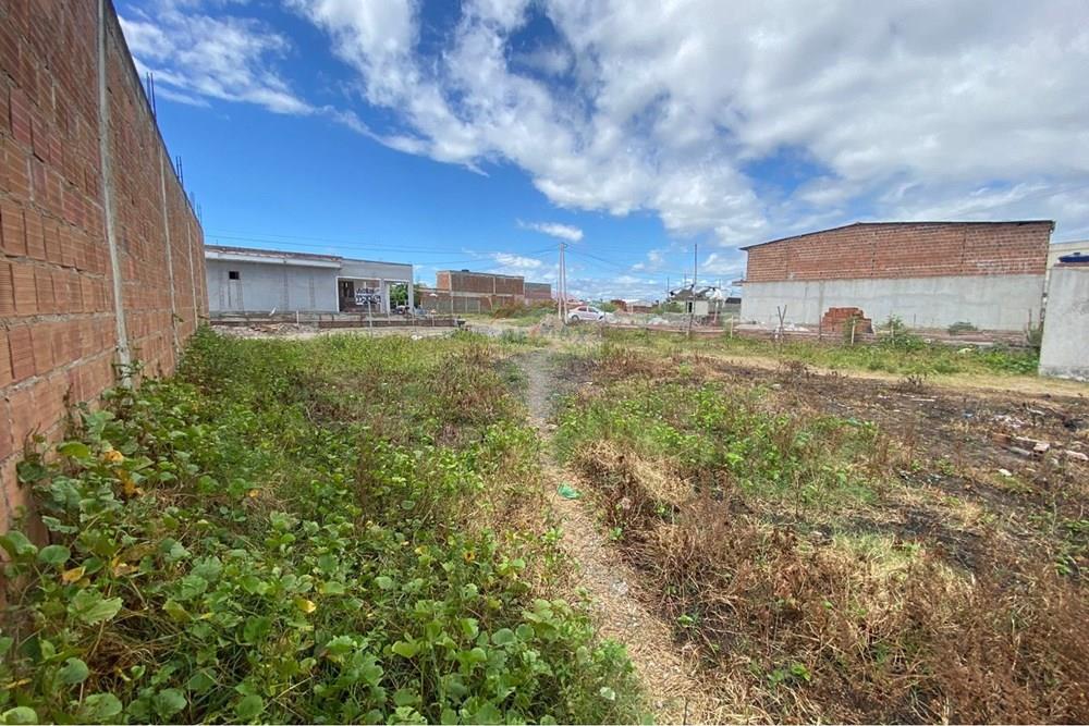 Terreno - Venda - Ipojuca , Pernambuco - WhatsApp Image 2026-02-17 at 12.37.51 (3).jpeg - 850221030-41