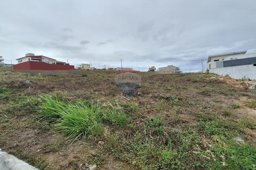 Terreno - Venda - Caruaru , Pernambuco - WhatsApp Image 2026-02-19 at 10.57.55.jpeg - 850161060-45