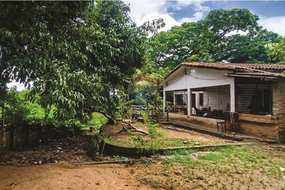 Chácara / Sítio / Fazenda - Venda - Recife , Pernambuco - 01AA6.jpg - 850251150-5