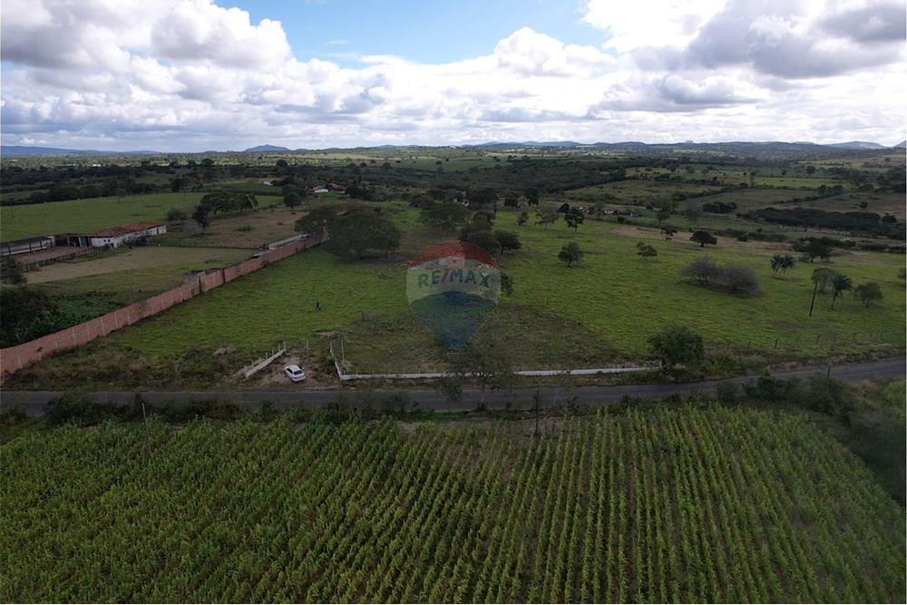 Chácara / Sítio / Fazenda - Venda - Caruaru , Pernambuco - 8bf02ef5-0e54-4833-8402-ac17155991a1.jpg - 850161001-454