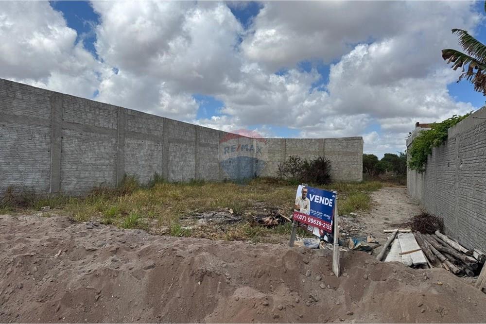 Terreno - Venda - São João , Pernambuco - WhatsApp Image 2026-02-11 at 08.53.13 (4).jpeg - 850131003-535