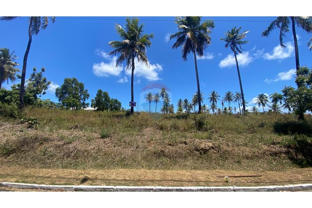 Terreno - Venda - Maragogi , Alagoas - IMG_1532.jpg - 850271264-8