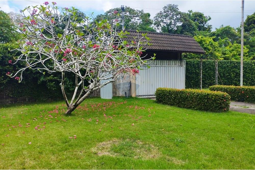 Chácara / Sítio / Fazenda - Venda - Recife , Pernambuco - WhatsApp Image 2025-10-07 at 10.10.46.jpeg - 850071019-216