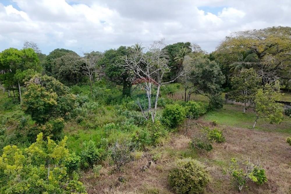 Chácara / Sítio / Fazenda - Venda - Recife , Pernambuco - WhatsApp Image 2025-10-09 at 14.41.58 (3).jpeg - 850071019-216