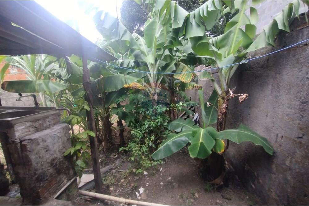 Casa - Venda - Maceió , Alagoas - WhatsApp Image 2025-12-03 at 07.20.26 (4).jpeg - 850271245-4