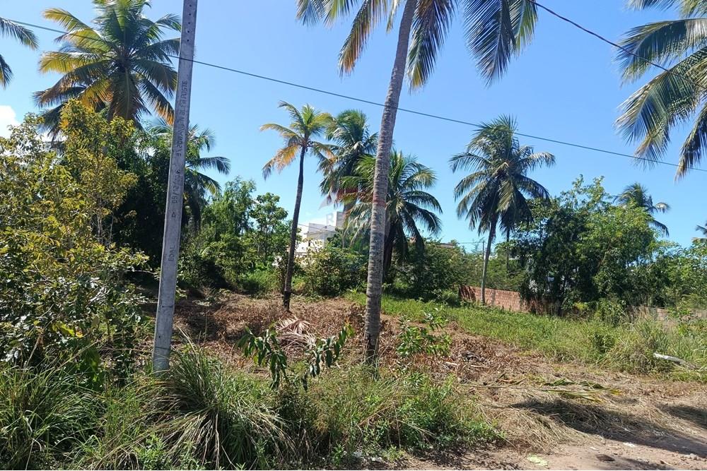 Terreno - Venda - Maragogi , Alagoas - IMG_20250531_123354.jpg - 850291008-73