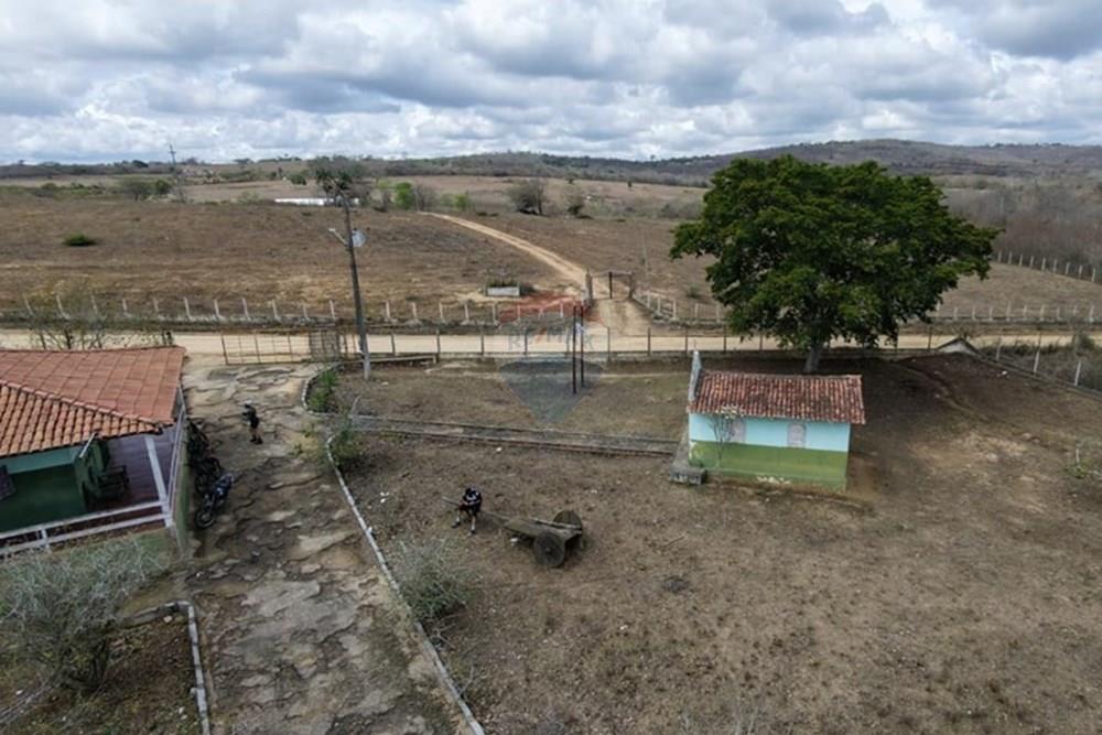 Chácara / Sítio / Fazenda - Venda - Caruaru , Pernambuco - WhatsApp Image 2026-03-02 at 14.28.35.jpeg - 850161060-46