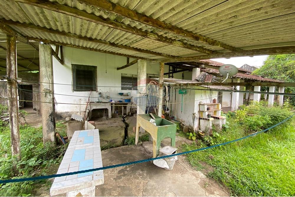 Chácara / Sítio / Fazenda - Venda - Camaragibe , Pernambuco - 54328d82-43ac-45cb-a2e7-b5b53b900a9a.jpg - 850191067-47