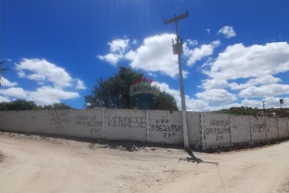 Chácara / Sítio / Fazenda - Venda - Lajedo , Pernambuco - WhatsApp Image 2026-01-30 at 12.32.19.jpeg - 850131020-1