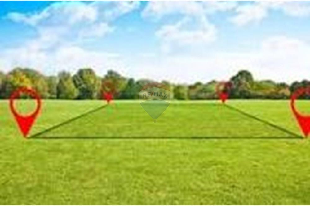 Terreno - Venda - Carpina , Pernambuco - download (2).jpeg - 850261003-325