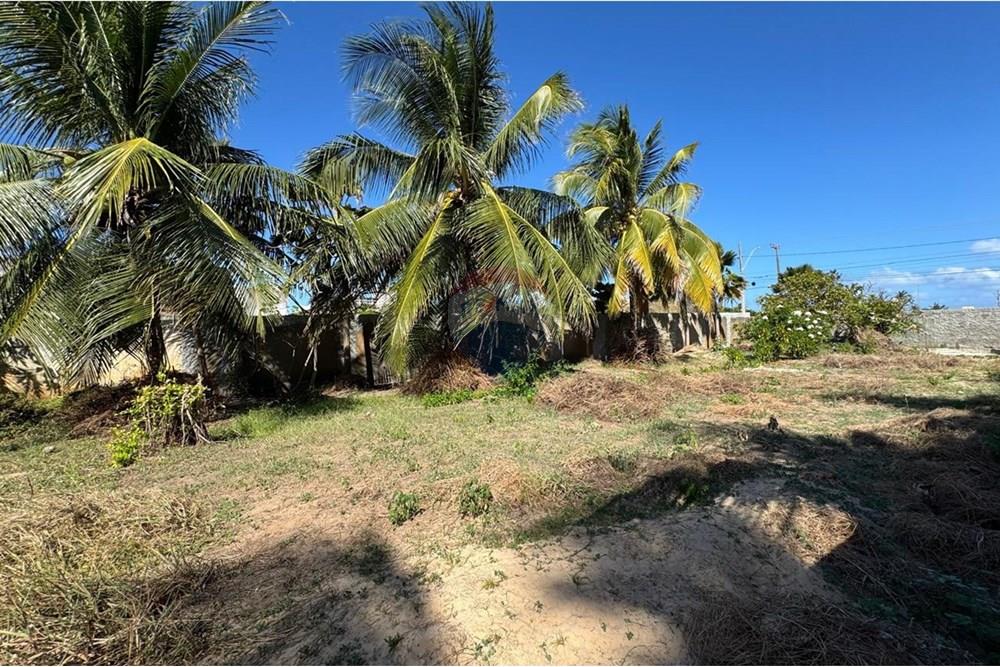 Terreno - Venda - Aracaju , Sergipe - WhatsApp Image 2025-11-14 at 09.35.55.jpeg - 850581276-9