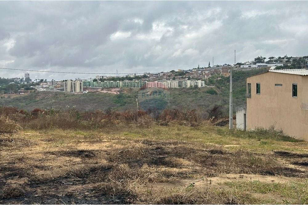 Terreno - Venda - Garanhuns , Pernambuco - WhatsApp Image 2025-01-08 at 17.00.51 (2).jpeg - 850131003-372