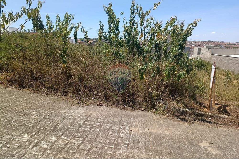 Terreno - Venda - Garanhuns , Pernambuco - WhatsApp Image 2025-11-13 at 20.46.07 (1).jpeg - 850741008-1