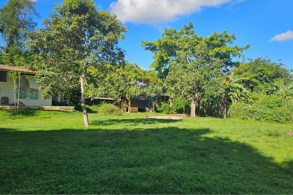 Terreno - Venda - Paudalho , Pernambuco - WhatsApp Image 2026-04-02 at 15.37.45 (5).jpeg - 850471016-87