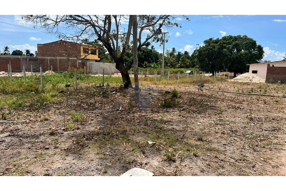 Terreno - Venda - Ipojuca , Pernambuco - WhatsApp Image 2026-02-19 at 09.38.41.jpeg - 850221031-281