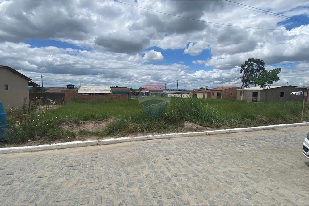 Terreno - Venda - Brejão , Pernambuco - Onça 9.jpeg - 850741009-2