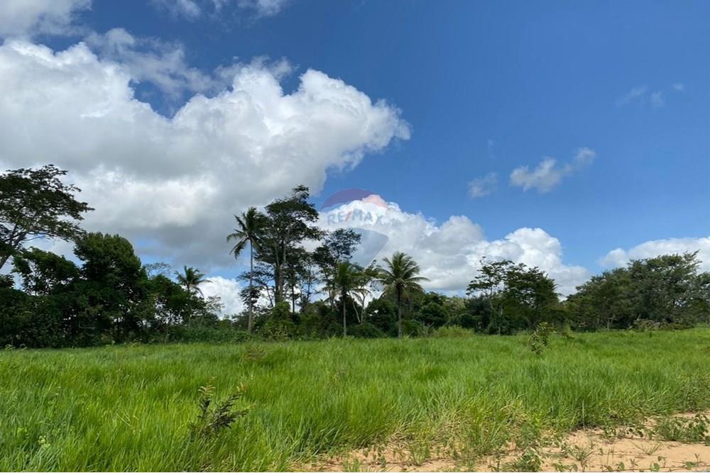 Terreno - Venda - Paudalho , Pernambuco - WhatsApp Image 2025-12-10 at 14.03.50.jpeg - 850261003-324