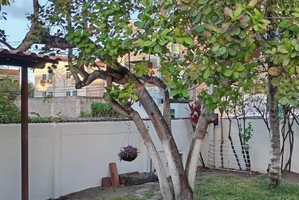 Casa - Alugar - Ipojuca , Pernambuco - 9b119a79-a27c-46c8-8983-173d5cb88414.jpg - 850221043-39