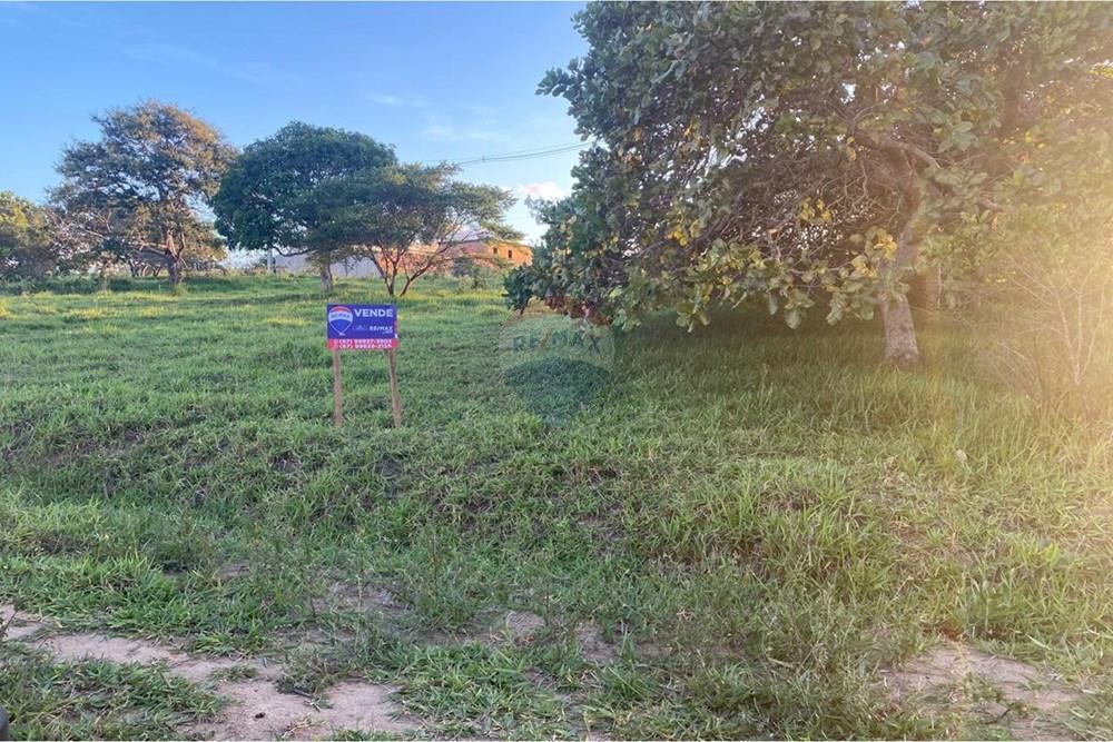 Terreno - Venda - Garanhuns , Pernambuco - WhatsApp Image 2026-03-27 at 15.40.54.jpeg - 850741009-1