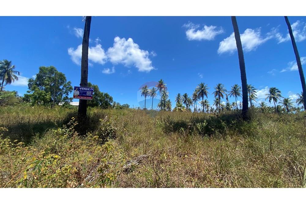 Terreno - Venda - Maragogi , Alagoas - IMG_1534.jpg - 850271264-8