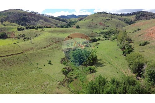 Venda-Chácara / Sítio / Fazenda-Sítio Bela Vista , SN  - Zona Rural  - Centro , Rochedo de Minas , Minas Gerais , 36604000-860291041-35